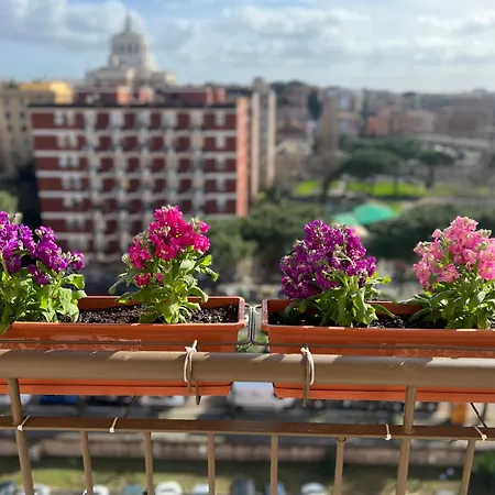 Sun House San Paolo Roma